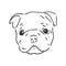 Line art of french bulldog with three difference of face