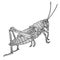 Line art grasshopper illustration