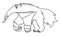 Line art illustration of giant anteater showing his tongue. Blank uncolored image on white background for children and kids colori