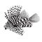 Line art of Lion fish for design element. Vector illustration