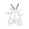 Line art one line butterfly moth for decoration design. Decoration element.