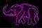 Line art with shiny pink neon elephant silhouette