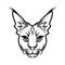 line art of wildcat head. Good use for symbol, mascot, icon, avatar, tattoo,T-Shirt design, logo or any design