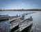 Line of Boats Afloat in a Reservoir, Kent, UK