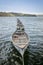 Line of Boats Afloat in a Reservoir, Kent, UK