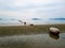 Line of buoys in the sea shore.