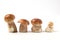 Line of cep mushrooms