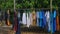 a line of clothes finds its rhythm in the gentle caress of a warm breeze