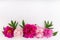 Line composition of arrangement peony flowers on white background. Beautiful  garland of  pink peonies.  Close up, top view, copy
