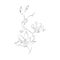 Line Drawing Botanical Wreath. Herbs and florals 04