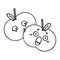 line drawing cartoon pair of apples