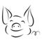 Line drawing of a cute pig, year of pig linear style and Hand drawn Vector illustrations, character design outline collection, ca