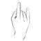 Line drawing Rock gesture horns sign