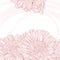 Line drawings pink chrysanthemum background