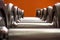 Line of dumbbells in the gym