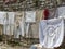 Line of embroidered tablecloths suspended along an ancient wall to Berat in Albania.