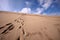 Line of footprints up a desert hill