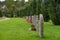 Line of gravestones and flowers in a swedish cemetery