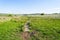 Line of gritstone stepping stones across the Derbyshire moorland