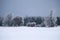 Line Of Ice Covered Trees After An Ontario Freezing Rain Storm