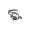 line icon. Alligator, crocodile; wild animals