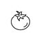 Line icon. Tomato symbol