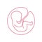 Line logotype. Baby in the womb with umbilical cord. Stylish logo for a prenatal or reproductive clinic, pregnancy