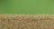 Line made from oat grains isolated on green background. Top view. Slider shot.