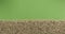 Line made from rye grains isolated on green background. Top view. Slider shot.