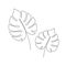 Line monstera leaf art. One continuous line art decorative monstera leaf draw. Editable stroke single tropical palm leaf