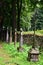 Line of old cemetery crosses behind the church outgrowing by surrounding plants and trees.