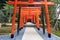 Line of orange torii gates at inari jinja of at Suwa Shrine in Nagasaki