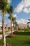 Line of Palm Trees Beside Tropical Sidewalk