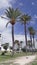 Line of palmtrees along the beach of playa en bossa