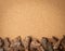 Line of Pine Tree Bark Chip on Brown Cork Board Background