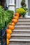 Line of Pumpkins Up Steps