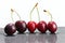 A line of red ripe cherries on a white background