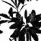 Line Rhododendron Cosmopolitan flowers, black outline on a white background. Seamless pattern.