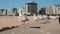 Line of seagulls perched on wall, looking over beach on sunny summer day in Portugal