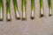 Line of seven spring onions or scallions background