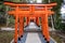 A line of torii gate in Suwa Jinja Shrine Complex, Nagasaki, Japan