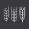 Line wheat ears icons set black on white background