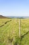 Line of wooden fence posts on Callow Bank, Derbyshire