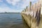 Line of wooden pilings in the Long Island Sound