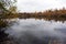 Line of yellow birches and willows on the opposite side of the river with reeds along reflecting on water