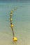 Line of yellow buoys on the rope floating in the sea