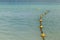 Line of yellow buoys on the rope floating in the sea