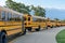 Line of yellow school buses - back to school