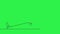 Linear animation of an plane taking off. Self drawing animation of passenger airplane on a green screen.