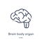 Linear brain body organ icon from Human body parts outline collection. Thin line brain body organ icon isolated on white